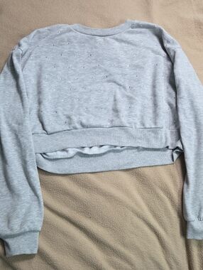 feathers Light Gray Cozy Pullover Sweatshirt